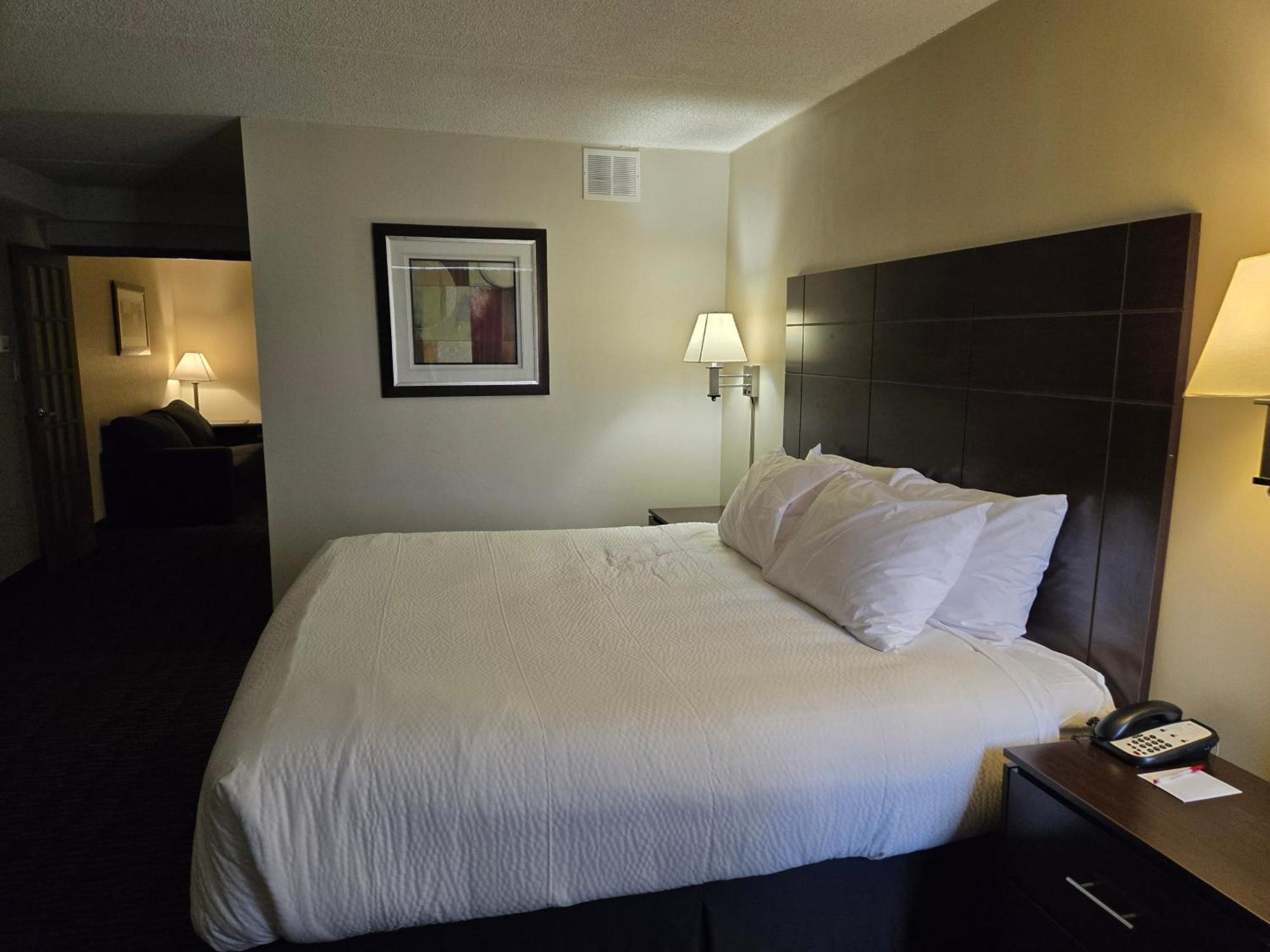 Ramada Plaza By Wyndham Niagara Falls Eksteriør billede